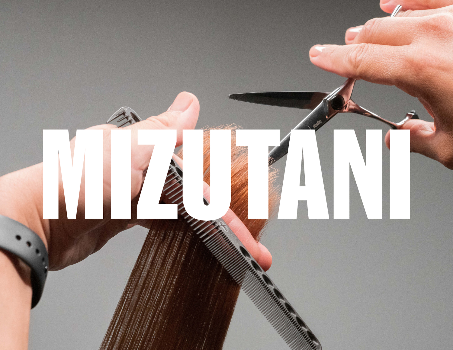 MIZUTANI