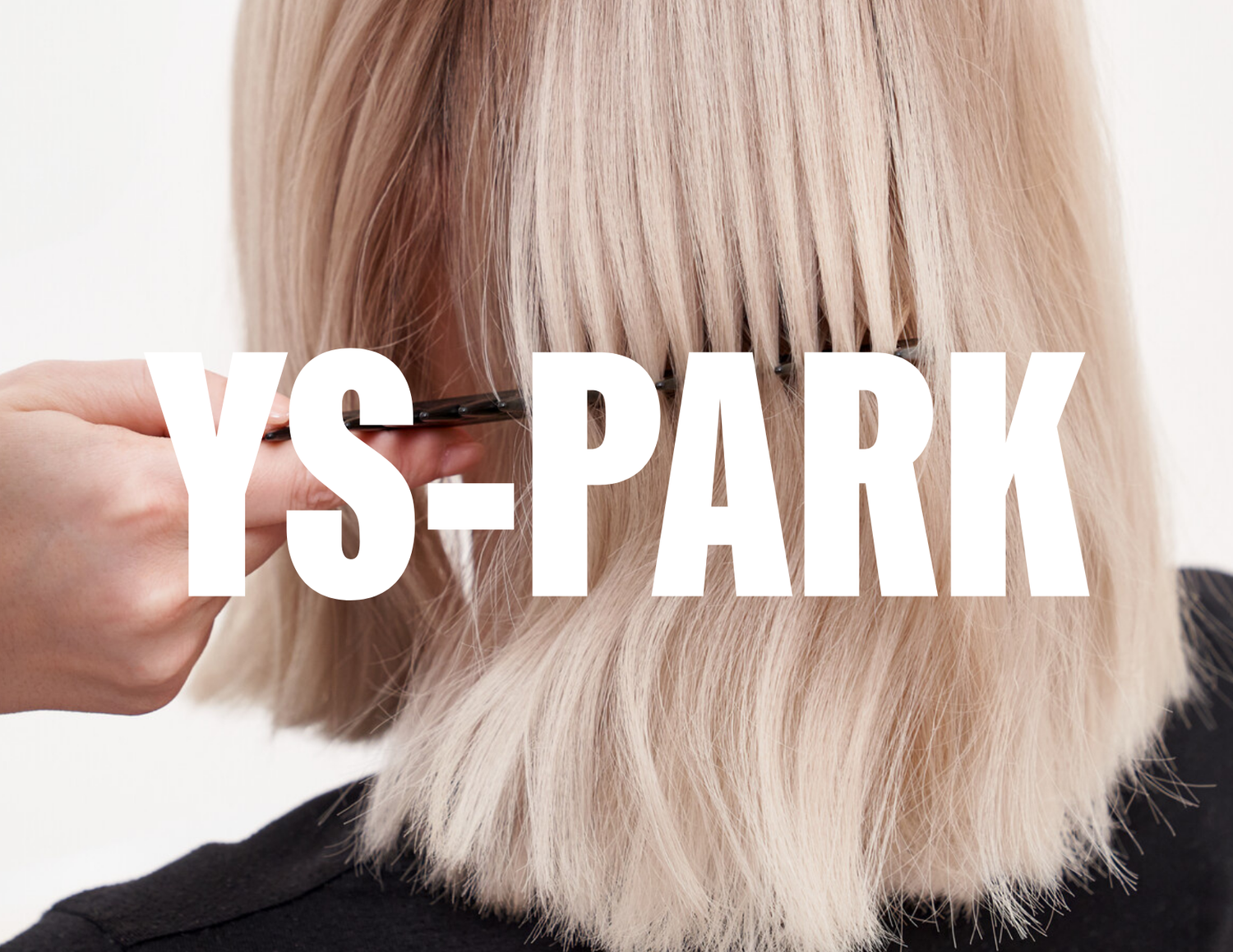 YS PARK